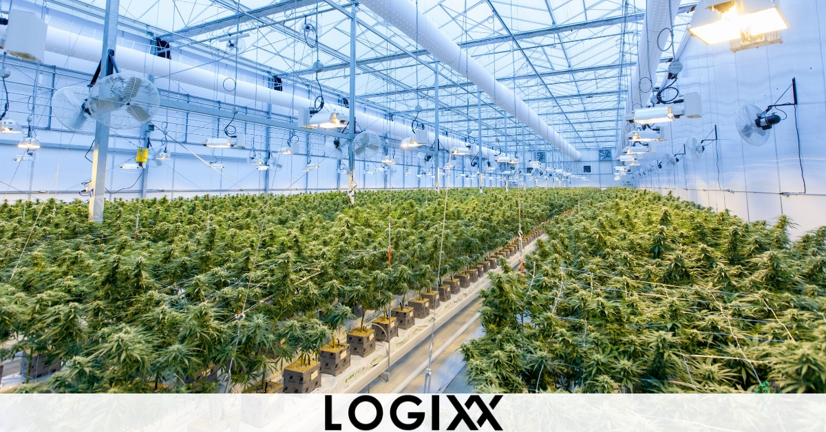 Marijuana Dispensaries Canadian Law Image