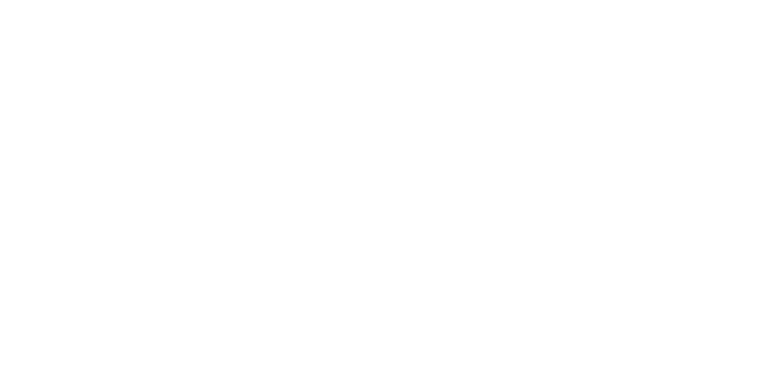 Client Pepsico Logo Reverse